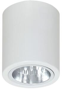 Lampa sufitowa punktowa spot bez regulacji Luminex 7234 Downlight E27 12cm x 11cm biały
