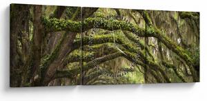 Obraz - Oaks Avenue, Charleston, Karolina Południowa, USA (z zegarem) (90x30 cm)