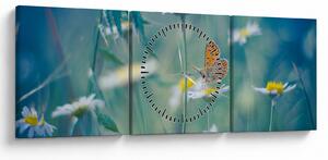Obraz - Motyl na stokrotce (z zegarem) (90x30 cm)