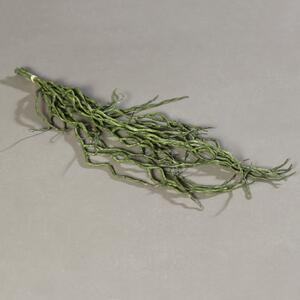 Korzenie Storczyka 48 cm