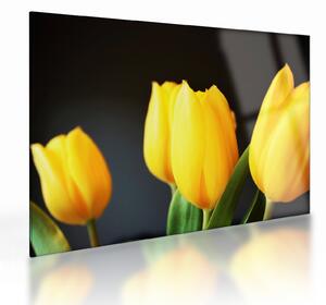 Obraz na szkle - tulipany (70x50 cm)