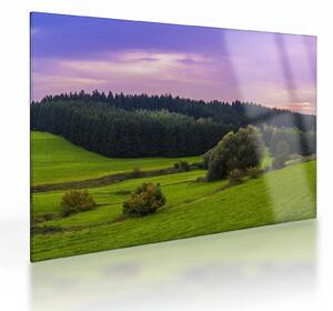 Obraz na szkle - łąka (70x50 cm)