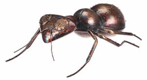 Metalowa dekoracja ogrodowa Mrówka, 33 x 23 x 10cm