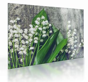 Obraz na szkle - konwalie (70x50 cm)