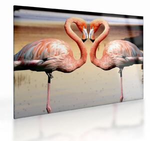 Obraz na szkle - dwa flamingi (70x50 cm)