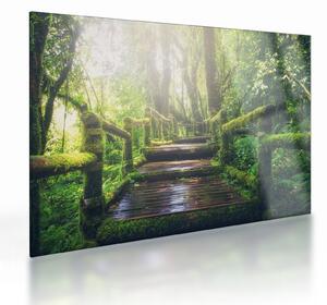 Obraz na szkle - drewniane schody w lesie (70x50 cm)