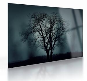 Obraz na szkle - drzew podczas zaćmienia (70x50 cm)
