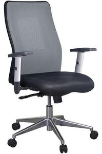 Krzesło biurowe Manutan Penelope Alu, szary