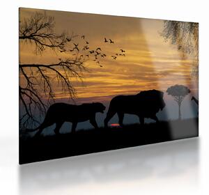 Obraz na szkle - Safari (70x50 cm)