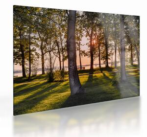 Obraz na szkle - drzewa nad jeziorem (70x50 cm)
