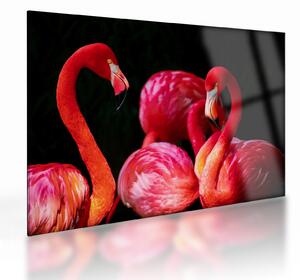 Obraz na szkle - czerwone flamingi (70x50 cm)