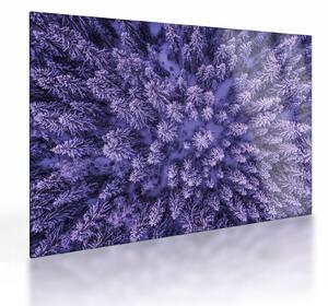Obraz na szkle ośnieżonych drzew (70x50 cm)