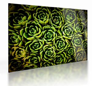 Obraz na szkle bez grzywki (70x50 cm)
