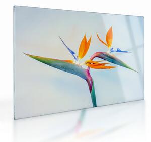 Obraz na szkle kwiatu Strelicji (70x50 cm)