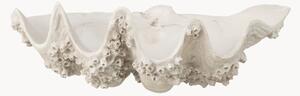 Misa dekoracyjna Seashell
