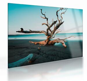 Obraz na szkle - Wyłowiono na plaży (70x50 cm)