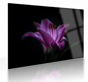 Obraz na szkle lilii (70x50 cm)