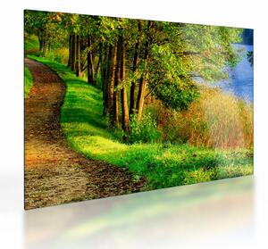 Obraz na szkle szlaku wzdłuż wody (70x50 cm)