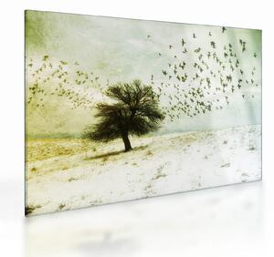 Obraz na szkle - Malowane stado ptaków (70x50 cm)
