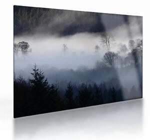 Obraz na szkle mgły nad lasem (70x50 cm)