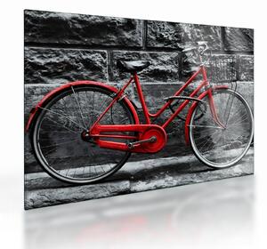 Obraz na szkle - Zabytkowy rower (70x50 cm)