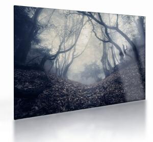 Obraz na szkle- Las we mgle (70x50 cm)