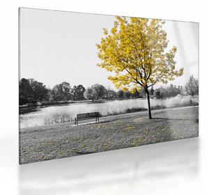 Obraz na szkle - Odpoczynek w parku (70x50 cm)