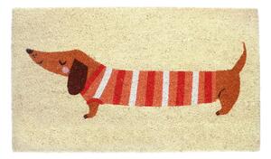 Wycieraczka z włókna kokosowego 43x73 cm Sausage Dog – Rex London