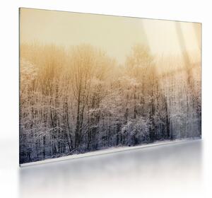 Obraz na szkle mroźnego lasu (70x50 cm)