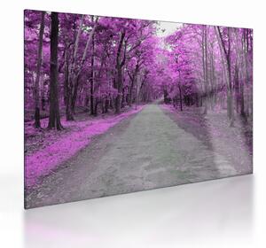 Obraz na szkle - Ścieżka przez park (70x50 cm)