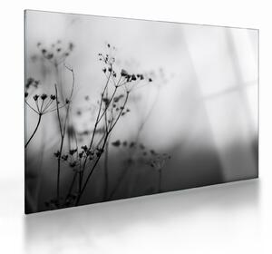 Obraz na szkle - Detal kwiatów polnych (70x50 cm)