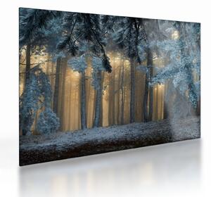 Obraz na szkle zaśnieżonego lasu (70x50 cm)