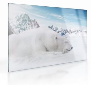 Obraz na szkle - Niedźwiedź polarny (70x50 cm)