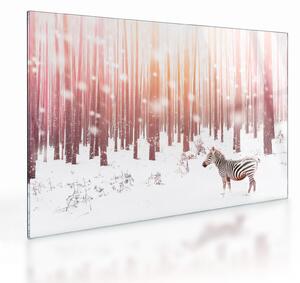Obraz na szkle - Zebra w śnieżnym lesie (70x50 cm)