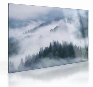 Obraz na szkle - Drzewa we mgle (70x50 cm)
