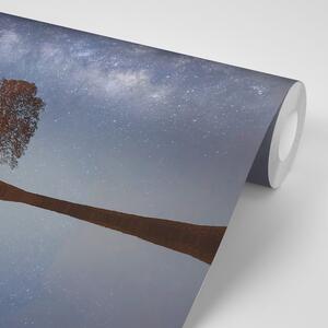 Samoprzylepna fototapeta gwiaździste niebo nad samotnym drzewem