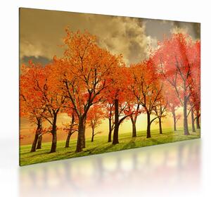 Obraz na szkle - Jesień (70x50 cm)