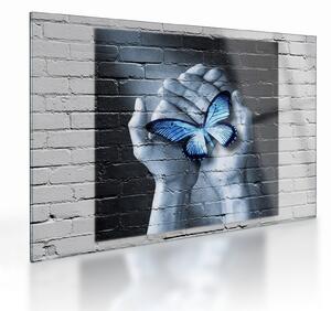 Obraz na szkle - Motyl na ścianie (70x50 cm)