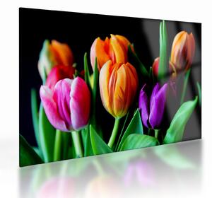 Obraz na szkle tulipanów na czarnym tle (70x50 cm)