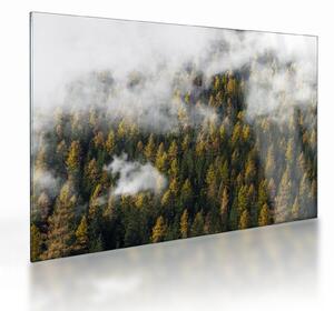 Obraz na szkle lasu w chmurach (70x50 cm)