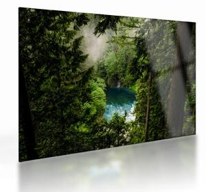 Obraz na szkle - Przestrzeń między drzewami (70x50 cm)