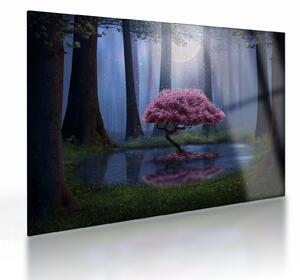 Obraz na szkle - Magiczna noc (70x50 cm)
