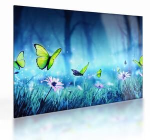 Obraz na szkle - Mistyczna leśna polana (70x50 cm)
