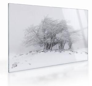 Obraz na szkle - Biała zima (70x50 cm)