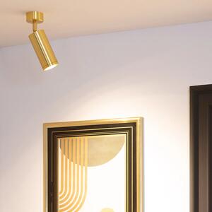 Lampa punktowa Natynkowa Nastawna złota Abruzzo Christiano 1xGU10 20x6cm