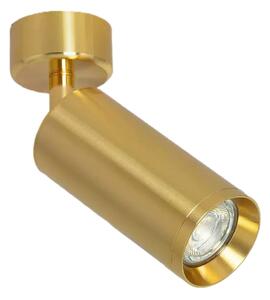 Lampa punktowa Natynkowa Nastawna złota Abruzzo Christiano 1xGU10 20x6cm