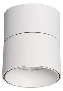 Lampa punktowa Biała 15W Spot LED 2700-3200K Abruzzo Romeo 11x9cm