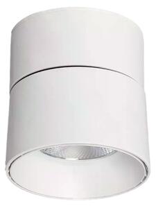 Lampa punktowa Biała 30W Spot LED 2700-3200K Abruzzo Romeo