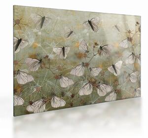 Obraz na szkle - Vintage motyle (70x50 cm)