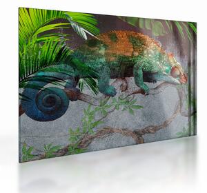 Obraz na szkle - Kameleon (70x50 cm)